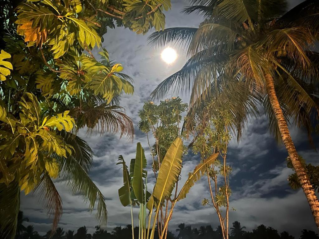 Pousada Vida Sol São Miguel dos Milagres 외부 사진